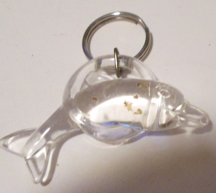 Clear Plastic DOLPHIN in hoop keyring key chain 2.5"